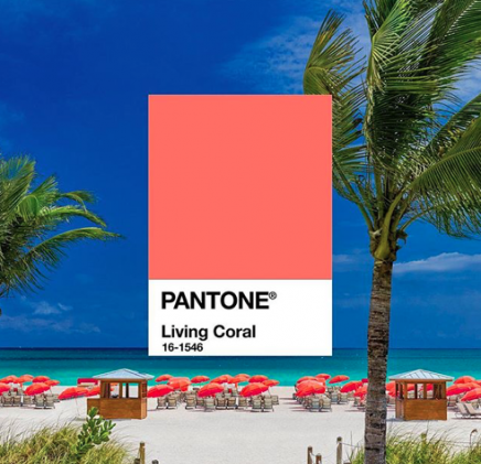 Cor da Pantone para 2019 Living Coral