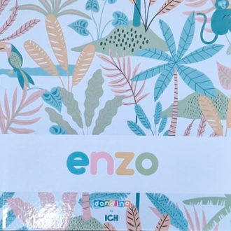 Enzo